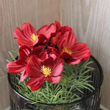 アパート Mrjames House *